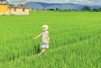 大理沙溪古镇一日游【[臻享]多款车型自由选择、全程独立用车无缝接送、随车提供矿泉水、晴雨伞、抽纸巾、手机充电服务】