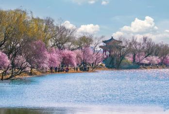 八达岭长城+颐和园【『可选上门接或含餐』优质服务·无购物】【[放心出游]智享品牌出游线路，全程无任何购物店和暗店，进店赔付。】