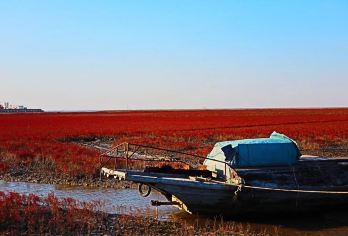 盘锦海边+红海滩海景+风景廊道+尊享专车+上门接送+深度游【中国最北海岸线，红色碱蓬草奇观，湿地生态与鸟类天堂，稻田画，小火车，9月份可品尝肥美稻田河蟹】