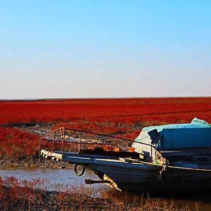 盘锦海边+红海滩海景+风景廊道+尊享专车+上门接送+深度游