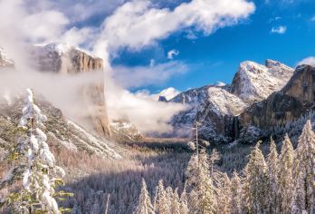 美国优胜美地国家公园+巨杉徒步一日游【旧金山出发｜外语导览】【从旧金山出发的优胜美地 1 日游，在半圆顶、酋长岩、优胜美地瀑布和徒步前往巨型红杉。】