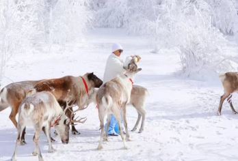 长白山仙峰雪岭/老里克湖一日游【线路一：延吉起止 /线路二：二道起止/线路三：延吉起-二道止/线路四：二道起-延吉止】
