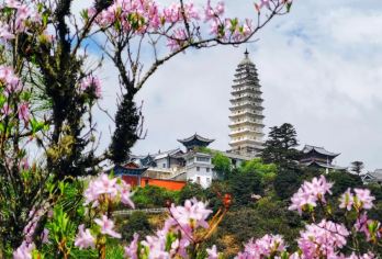 大理宾川鸡足山一日游【含往返索道+观光车丨可选升级商务小团】【[趣玩行程]佛教五大名山之一、观鸡足山八景、金顶寺有缘得见摄身光】