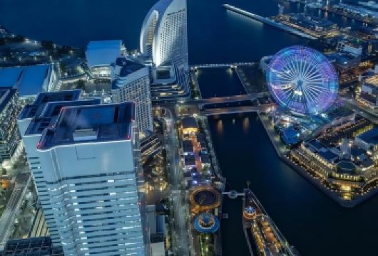 日本东京+横滨港未来21一日游/行程可调-可定制多日【包车一日游，解锁旅行新方式！独立车辆配备经验丰富的老司机，为您量身打造专属行程。】