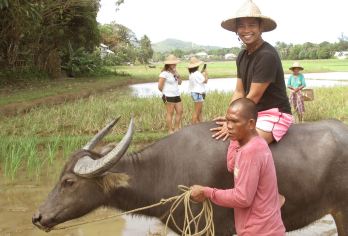 莫塔格生活博物馆之旅，包含全地形车和滑索体验【沉浸于地道的阿克兰传统和乡村生活。 适合初学者和寻求刺激者的导览路线 滑翔飞驰，饱览纳帕安山丘的全景】