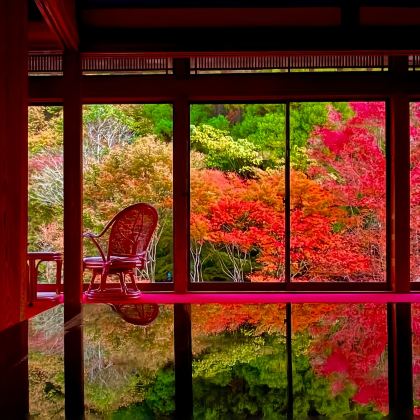 【九州赏枫限定一日游】太宰府·九年庵·御船山·佑德稻荷神社