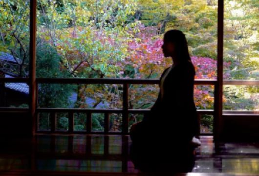 日本京都-琉璃光院-三千院-贵船神社-红叶满天 京都巡礼。【专业行程定制，精选热门景点，高效游玩不走回头路，贴心服务保障，轻松】