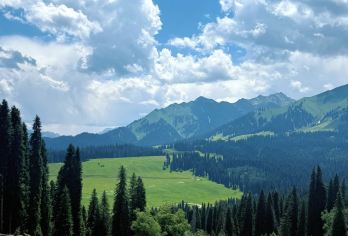 【新疆伊犁轻徒步·天山美丽绿谷】库尔德宁草原一日包车纯玩游【10小时VIP包车游，独立用车，行程自由，亲朋好友快乐出行】