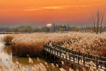 【上午/下午出发】野鸭湖芦苇+云瀑沟冰瀑·纯玩1日游【[品质游玩]纯玩无购物 行程透明化 不玩套路 安心放心；】