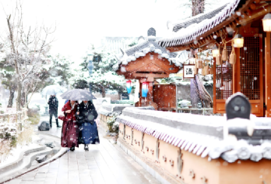 【皇家樱花 / 秋叶 / 雪景】全州韩屋村+大屯山之旅【观韩国著名的全州韩屋村，享受地道文化】
