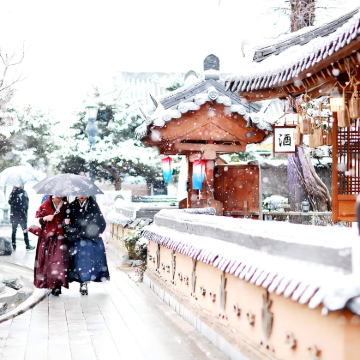 【皇家樱花 / 秋叶 / 雪景】全州韩屋村+大屯山之旅