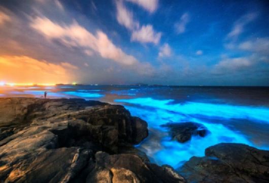 福州平潭岛B线一日游【上门接送+8人小团+无购物+可定制】【多套餐可选，天天发团，纯玩无购物，无忧出行。】