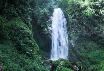 百花岭生态旅游区一日游【热带雨林*摄影圣地*野温泉体验】【[本地向导]徒步户外团队，保障行程安全】