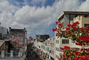 海口钟楼+天鹅湖动物基地+世界公园+骑楼老街一日游可英文服务【钟楼声荡百年沧桑，天鹅湖萌宠零距离，骑楼庙宇藏市井，海口多元风情画卷。】