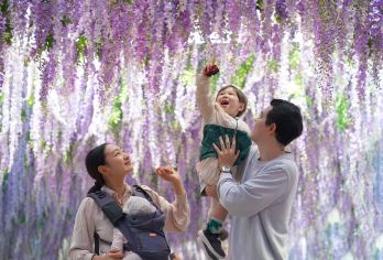 韩国京畿道| 加平海棠鸟园X铁路自行车X小法国X义大利村【赏花不再无趣～除了四季鲜花植物，室内有镜子和媒体艺术结合的视觉区；】