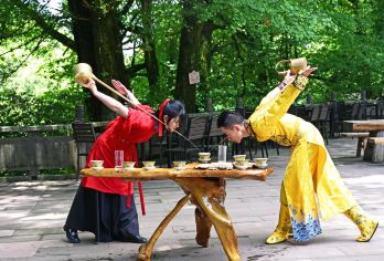 从成都出发：雅安-蒙顶山+碧峰峡+野生动物园一日游 C【全程中文/英文/俄语/小语种服务，沟通无障碍，景点可调,多种车型可选】