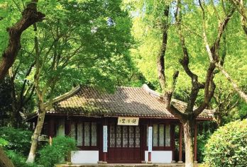 朱家角水乡古镇包车一日游（上海出发）｜中、英&多语种导游T【朱家角古镇有 1700 多年历史，早在五千年前良渚时期就有人类活动，明朝万历年间已成为繁华集镇，见证】