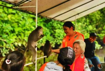 沙巴亚庇天镜红树林半日游真kawakawa萤火虫长鼻猴一日游【VIP自营专线天镜红树林，提供沙滩泡泡、网红烟火秀，海娜纹身】