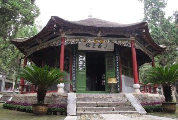 南阳寻踪：卧龙岗忆武侯，府衙品古韵，月季大观园醉芳华【中文司机】