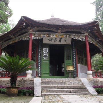 南阳寻踪：卧龙岗忆武侯，府衙品古韵，月季大观园醉芳华