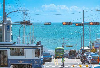 韩国釜山一日游【海云台蓝线公园/甘川文化村/青沙浦/龙宫寺】【海滩列车和空中胶囊：从独特的视角欣赏釜山东海岸的壮丽景色】