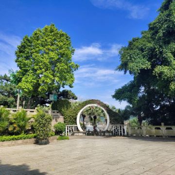 船政文化景区纯玩小团 橄榄游● 2.5小时资深导游 人工讲解