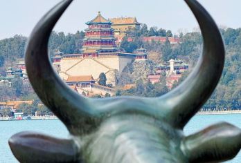 北京颐和园一日游【颐和园大门票+人工导游深度2小时精讲】【[精致讲解]全程2小时深度讲解】