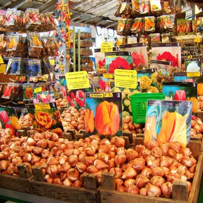 荷兰阿姆斯特丹-德哈尔城堡+梵谷森林+极冻酒吧一日游