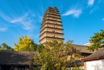 西安博物院+小雁塔一日游【双景区讲解2.5H/可选8人团】【西安博物院、西安城墙、西安碑林、大雁塔景区都可提供讲解服务，可咨询客服！】