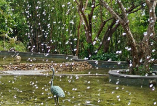 亚龙湾热带天堂森林公园1到6人包车游【1单1团·纯玩】【1单1团·纯玩·中文专车】