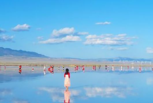 青海湖+茶卡盐湖一日游【沉浸式畅游】