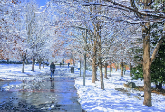 美国亚特兰大植物园-佐治亚州立大学【中文专车-悦享旅程】【中文专车出行，景点灵活调整，打卡经典，游玩自己定义，无需等待，专属贴心服务，尽享惬意旅程】