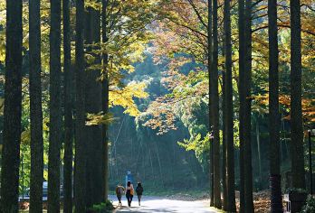 湖州莫干山蒋公道新手户外徒步一日游【古道·莫干山｜山林吸氧】【浙江小庐山：莫干山海拔758米。有数百幢历史别墅，掩映在青山翠竹中，被称为“世界建筑博物馆”】