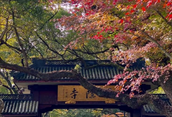 杭州灵隐寺+飞来峰半日游【免排快速入园+文化讲解+赠钱袋子】【[省心免排队]省去旺季排队2小时入园的烦恼，专属通道免排队快速入园，打卡秘境美景；】