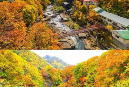 日本北海道层云峡一日游【秋季限定/中文专车/行程定制】【尊享一对一高端行程定制，豪华包车专属礼遇，专业旅行顾问24小时恭候垂询。】