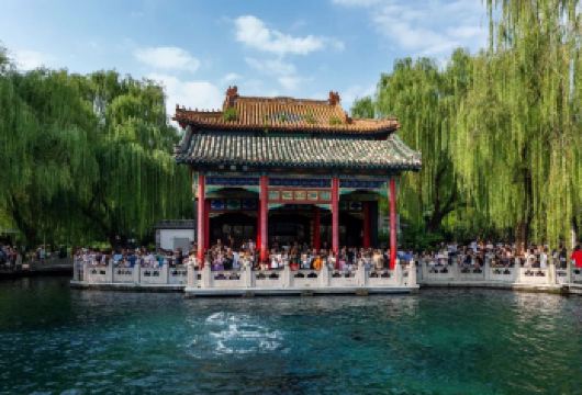 济南一日游【4-6人私家团+上门接送.金牌导游】【[超全时长趣味讲解]优选专业导游带您趣味畅游济南】