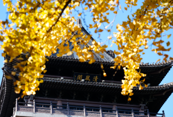 【旅小皖/私家团】合肥李鸿章故居+包公祠+合柴1972+罍街【[优选资源]本地社+本地司/导+本地用车，本地土著带你玩转合肥精华景点。】