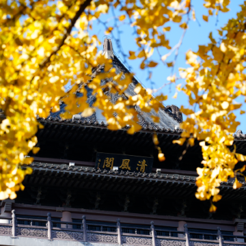 【跟着春晚游合肥】合肥李鸿章故居+包公祠+合柴1972+罍街