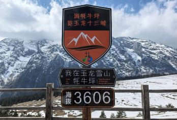 丽江玉龙雪山+牦牛坪+蓝月谷一日游【8人内小团+含进山费】【此行程是乘坐中索道前往玉龙雪山景区的牦牛坪景点游玩，并非去4680的冰川公园，请您看好后再下单】