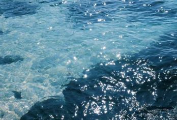 济州东线包车一日游：登城山日出峰·游牛岛·访涉地可支·享月汀【全程5-7座专车配中文司机，酒店接送。一日尽览济州东线四大精华】