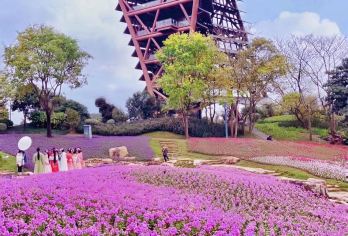 中国广西南宁园博园+南宁动物园/酒店接送，行程定制【专车一对一接送，不用拼团，想走即走，想停即停】