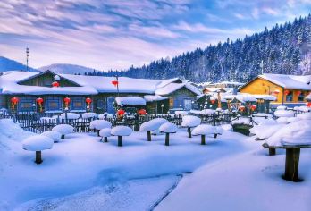 【中国雪乡②日】游大秃顶子山+梦幻家园【[VIP出行]大巴团升级2+1更舒适，中巴团人少出行更便捷】