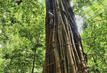 勐远仙境一日游【雨林穿越-悬崖咖啡丨2-8人小团-上门接送】【西双版纳有100多条雨林徒步线路，在联合国保护区、政府特许经营的合法线路，只有勐远仙境1条】
