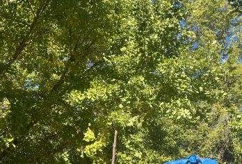 永州阳明山国家森林公园+零陵古城+柳子庙一日游-可英文服务【可提供英文及小语种导游服务-往返接送-可选导游-可代订门票】