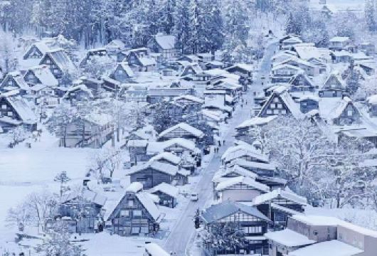 日本名古屋白川乡+飞驒高山一日游【中文司机/景点任选】【尊享一对一高端行程定制，豪华包车专属礼遇，专业旅行顾问24小时恭候垂询。】