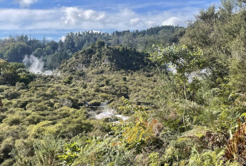 新西兰奥克兰-罗托鲁瓦-陶波湖-可定制【中文专车-惬意舒适】【中文专车出行，行程自己定义，无需等待，专属贴心服务，尽享惬意旅程】