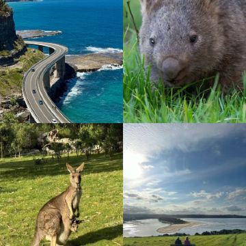 悉尼南线一日游Kiama&Gerringong&袋鼠谷
