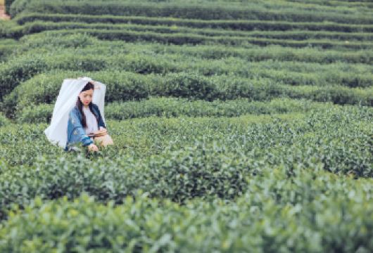 【隐逸茶生活】西溪湿地秘境摇橹船+龙井村茶文化深度体验一日游【西溪湿地公园：乘坐西溪摇橹船，带你穿过一帧又一帧美丽的野趣画卷，这是游江南山水的气质玩法~】
