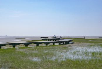 台中+彰化鹿港+高美湿地【台中出发｜包车畅游】【不同于旅行团走固定行程，台中包车一日游能弹性规划路线，尽情畅游全台中热门景点】