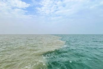 黄河口生态旅游区一日游【专车进景区│精讲│预约船票】【全程带专车进景区。资深导游讲解高效游玩】